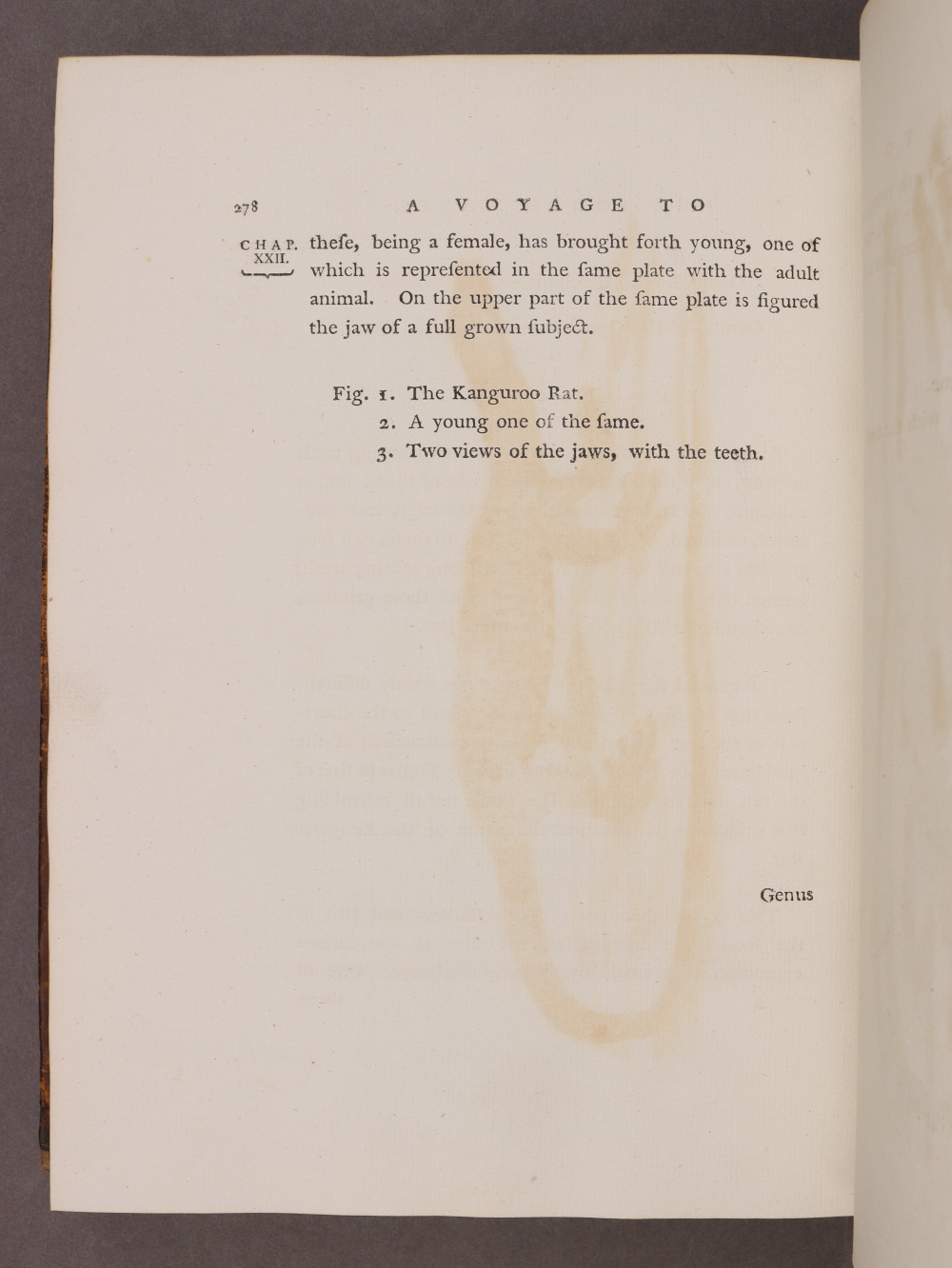 Page 278
